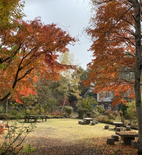 紅葉が美しい秋の庭園